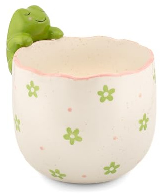 Sass & Belle Peeking Frog Planter - Indoor Plant Pot, Animal Design for Cactus or Succulent, Ceramic plant pots for Home Décor, Flower Pot Designed by Sass and Belle