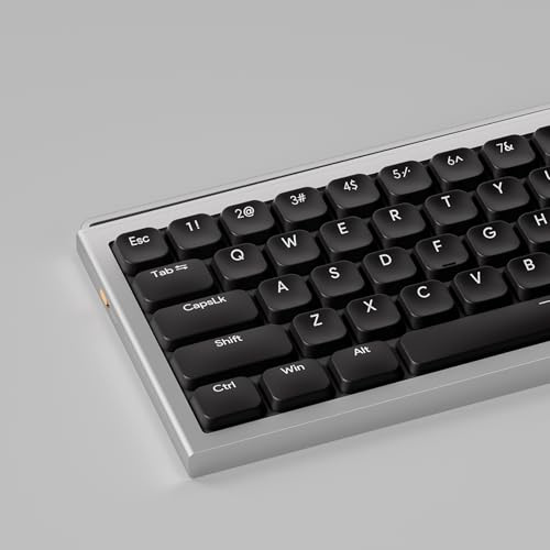 Sumgsn 112 Keys Low Profile Keycaps, Shine Through Keycaps, Doubleshot Schwarz Tastenkappen Fit für 68 84 87 98 100 104 mechanische Tastatur