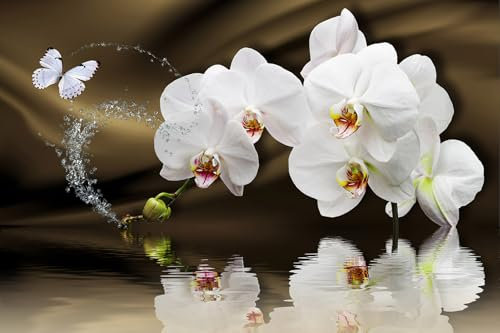 Papier peint panoramique - Orchidées 3617680723081 - Largeur 390 cm x Hauteur 260 cm