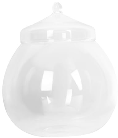 TOYANDONA Glasgarten Mikrolandschaftshalter mit Deckel aus Glas Ökologische Flasche für Moospflanzen Terrarium für Wohnzimmer und Schlafzimmer 1 Satz