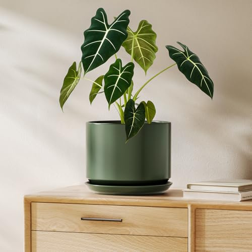 LE TAUCI Blumentopfe Keramik, 20 cm, mit Untersetzer & Drainageloch, Grün | Übertopf für Zimmerpflanzen, Blumentopf mit Integrierter Untersetzer, Drainagelöchern, Pflanztopf Set für Wohnzimmer & Büro