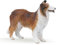 PAPO -Handbemalt - Figuren -Haustiere -Collie-30230-Sammelbar-Für Kinder - Geeignet für Jungen und Mädchen - Ab 3 Jahren