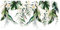 WallArena - Vlies Fototapete Blätter Grün Gold Monstera Pflanzen Laub 312x219 cm - Fototapeten - Tapeten - für Wohnzimmer Schlafzimmer - Vliestapete Wandtapete Tapete 3D Effekt- inkl. Kleister