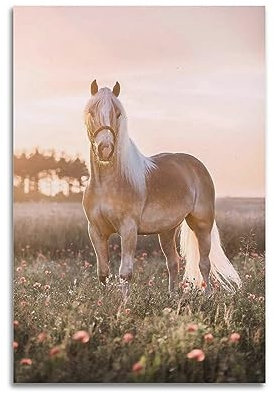 WARL Schönes Haflinger-Pferd-Poster, dekoratives Gemälde, Leinwand-Kunstbild, 30 x 45 cm