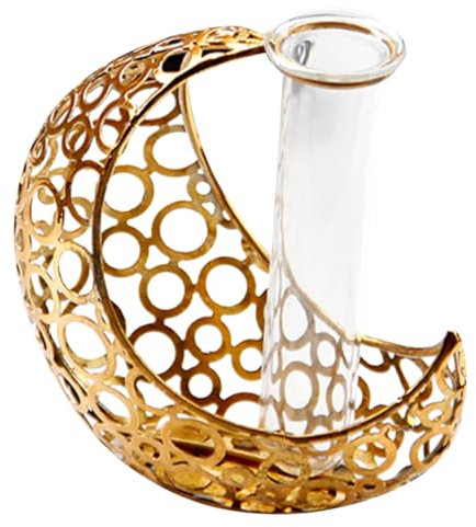 CIYODO Vase für Hydrokulturpflanzen, Reagenzglas, Mond, Metall, Eisen, Schreibtisch (Gold), Blumentopf aus Glas, für das Pflanzen von Wasser und Luft