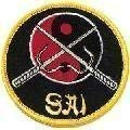 Playwell Kampfsport Gestickte Abzeichen - Sai Waffen Yin Yang Patch
