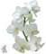 Sticker WC Abattant Orchidée Jaune, Branche Verte, Fleur Fraiche, 33x38cm, Déco Toilettes Maison, Décoration Intérieure