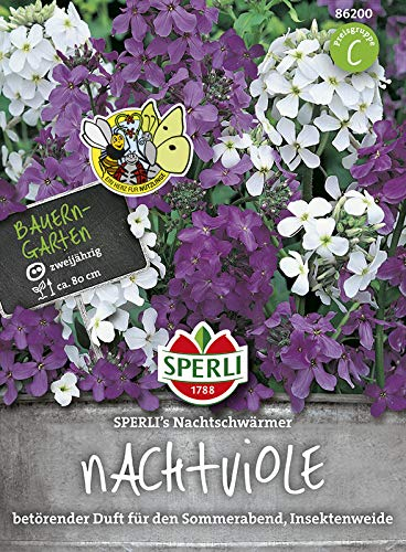 Sperli Blumensamen Nachtviole Nachtschwärmer, grün