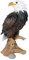 Arnusa Dekofigur Adler 34 cm aus Kunstharz Gartenfigur Dekofigur Weißkopfseeadler Gartendekoration