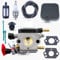 Haishine Carburateur Kit pour STIHL BG50 BG45 BG46 BG55 BG65 BG85 SH55 SH85 Souffleur de Feuilles Remplace OEM 4229 120 0650 avec Filtre à Air/Bougie d'Allumage/Filtre/Tuyau d'Huile/Kit de Tuyaux