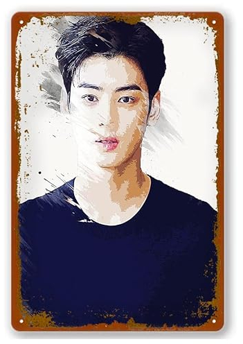 Cha Eun Woo Cha Eun Woo Idol Kpop Poster Blechschild Vintage Metallschild Bar Club Wandkunst Dekoration 20,3 x 30,5 cm