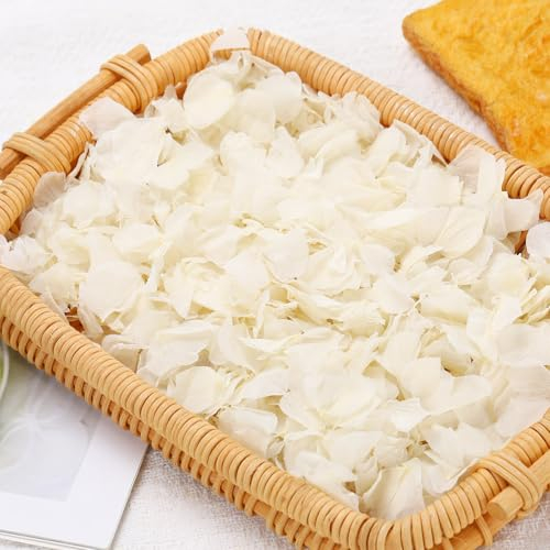 Dried Real Hydrangea Petals, Natural Preserved Dry Flower Petal for Wedding Party Dinner Table Decor, Romantic Night for Her, Engagement, Bridal Shower, Valentines Day, Confetti (1.1oz, Ivory White)