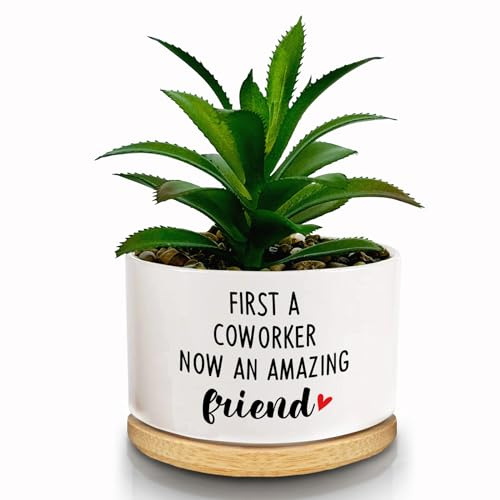 FZTUON Thank You for Helping Me Grow Succulent Planter Pots with Bamboo Tray, Indoor Planter for Women, Men, Friends, Coworker,Housewarming Gift - Not Include Plant (Now an Amazing Friend)