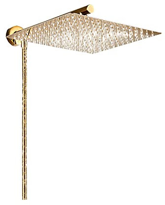LWX Bagno su di Acquazzone di Pioggia Capo 10/12 Doccia Polverizzatori Braccio Doccia Kit Doccia Doccia Tubo Flessibile di Montaggio A Parete,d'oro,10in