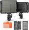 Neewer Pannello Luce 176 LED Dimmerabile con 2pz Batteria a Litio 2600mAh Caricabatterie Doppio a USB per Reflex Digitali Canon Nikon ecc. per Registrazioni Video in Studio Fotografico