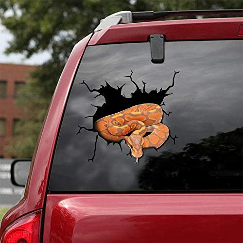 Ocean Gift Adesivi per auto in pitone con palline, adesivi da parete, confezione da 2 – realistici adesivi per auto, design animali selvatici serie 21, dimensioni 20,3 x 20,3 cm