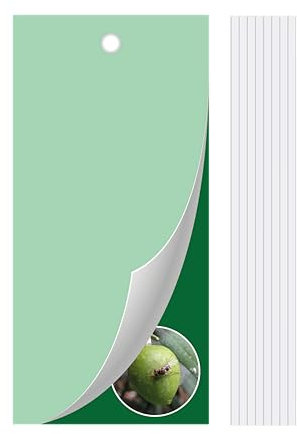 Albagarden - Trappola Cromotropica Verde Per Mosca Dell’olivo - Trappola Adesiva Senza Veleno, Fogli Cattura Insetti, Protezione Per Uliveti E Agricoltura Biologica - 10 Pannelli Appiccicosi