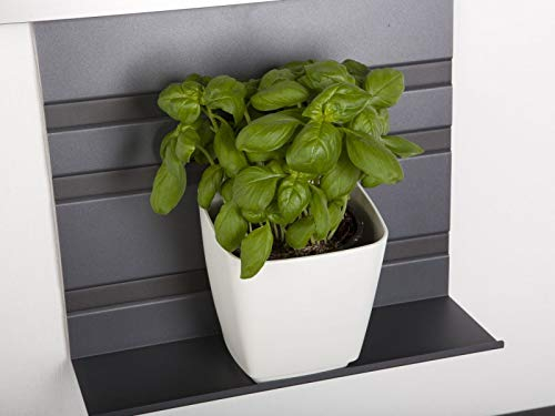 SO-TECH® Linero MosaiQ Köcher/Kräutertopf für Universalablage für Linero Mosaiq Ablage grau