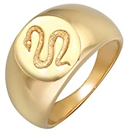 Elli Ring Damen Siegelring Schlange Kraft Symbol Chunky in 925 Sterling Silber Vergoldet
