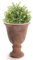 Terracotta Urn Planter Vintage Style Footed Flower Pot Indoor/Outdoor French Country Style Garden Planter with Beaded Edge Design Traditional Patio Decking Decor (Small)