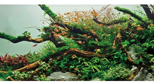 MIRRORANG 120x46cm Holz Aquarium Algen Aquarium Hintergrund Wasserpflanze Flussbett & See Aquarium Hintergrund Seegras Aquarium Vinyl Hintergrund