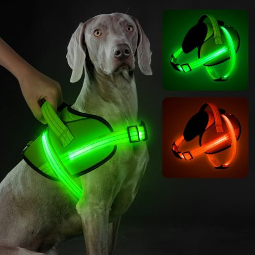 Light Up Hundegeschirr, No-Pull Led Hundegeschirr Wiederaufladbar, Reflektierend Leuchtgeschirr für Hunde, Einstellbar & Komfort Gepolstert für Sicherheit beim Nachtspaziergang (Grün, XL)