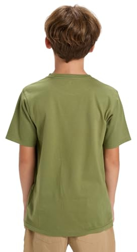 Quiksilver Short-Sleeved T-Shirt EV Type LINE SS Boy's Green 14