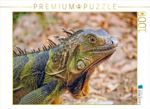 CALVENDO Puzzle Wunderschöner Leguan | 1000 Teile Lege-Größe 64 x 48 cm Foto-Puzzle für glückliche Stunden