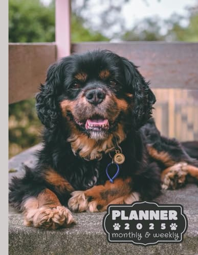 Cavalier King Charles Spaniel planner 2025: monthly and weekly 2025 | Spaniel-themed A4 2025 Diary | From Jan to Dec | Planning Giftable Perfect Gift ... Extra Notes Pages. | Animals Dog Breeds Pets