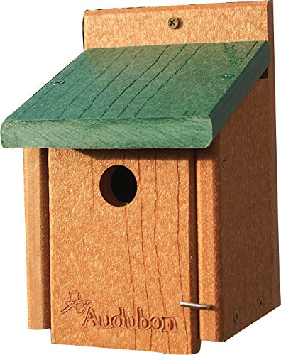 Audubon (Going grün Zaunkönig House Modell NAGGWREN