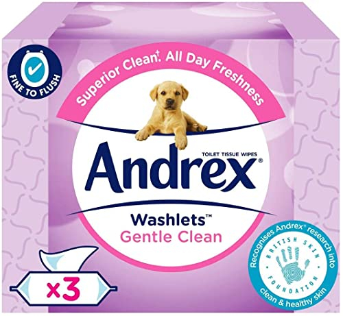 Andrex Gentle Clean Flushable Washlets, Fragrance Free, 3 X 40 wipes