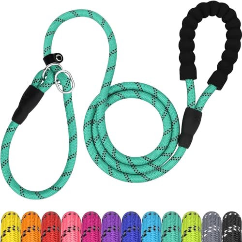 TagME Slip Lead for Dogs,1.8m Reflective Dog Lead with Soft Padded Handle, Slip-On Training Leash for Medium Pet, Turquoise
