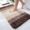 Homaxy Weich Badezimmerteppich 40x60 cm, rutschfest waschbar Badematte Flauschige Hochflor Badteppich Mikrofaser Saugfähig Badvorleger Duschvorleger (Braun)