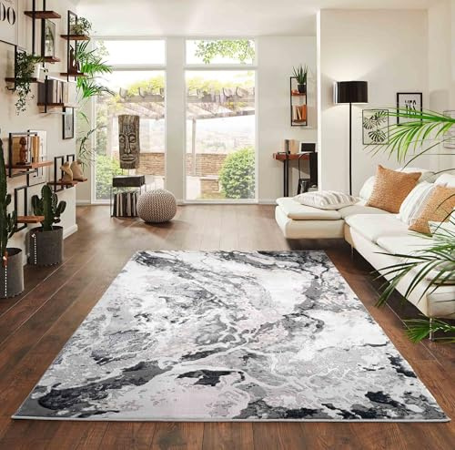 Picasso Modern Living Room Rug - Abstract Area Rugs Silver 200x290 cm