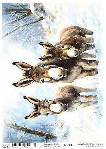 Josys Bastelmärchen Reispapier A4 Strohseide Weihnachten Landschaft Esel im Schnee Winter RE4465