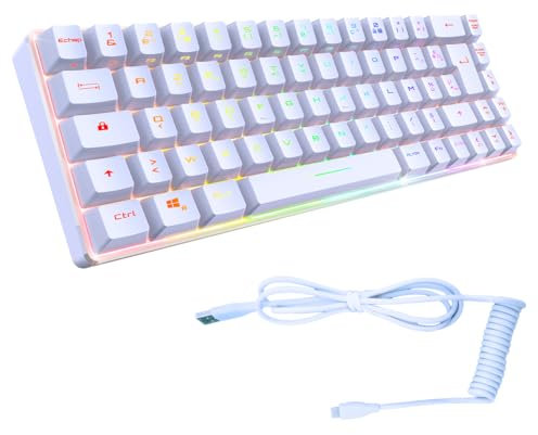 EMPIRE GAMING - K208 Clavier Gamer Filaire TKL Compact (Français AZERTY) 69 Touches RGB - Câble USB Type C détachable Plug & Play - PC/PS4/PS5/Xbox - 23 Touches Anti-Ghosting (Blanc)