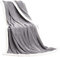 CelinaTex Kuscheldecke 150 x 200 cm Silber Wohndecke weich Mikrofaser Fleece Sherpa Einfassung Lammfell Optik Oeko-TEX Everest