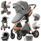MoLi Kinderwagen 3 in 1, Kinderwagen mit Umkehrbarem Doppelschiebemodus, Buggy mit Großer Bequemer Babywanne, Kombikinderwagen 3 in 1 Rahmen Aluminiumlegierung Faltbar Hohe Landschaft (225 Grey)