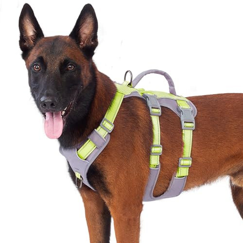 Huntboo Sicherheitsgeschirr Hund Ausbruchsicher, Panikgeschirr für Hunde, Reflektierendes Geschirr Hund mit Griff, Verstellbare Hundegeschirr für kleine, mittelgroße und große Hunde (Hellgrün,L)
