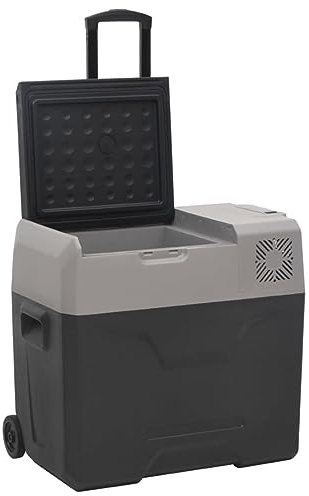 qohoio Cool Box with Wheel and Adapter Black&Grey 40 L Polypropylene,Electric Cool Box,Heating and Cooling Functions,Portable Travel Cooler Box Camping Car Mini Fridge