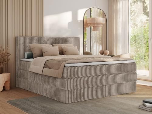 MKS MEBLE Boxspringbett 200x200 Hellbraun Cord, Boxspringbett mit Matratze H3, Bett 200x200 mit Bettkasten and Kopfteil, Doppelbett mit Stauraum, Polsterbett 200x200 - Tiliano King
