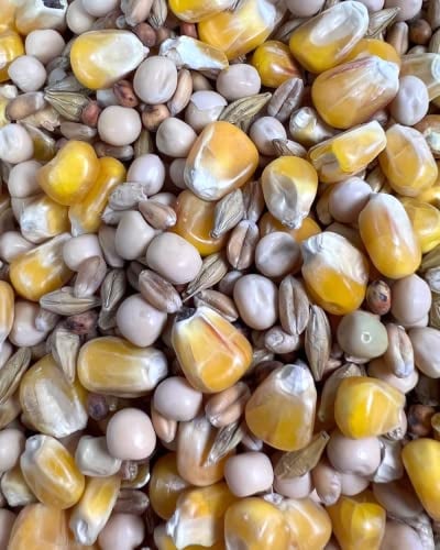 Ströh Hobbersdorfer Mühle Tük Tük ecofly Taubenfutter Standard 25kg