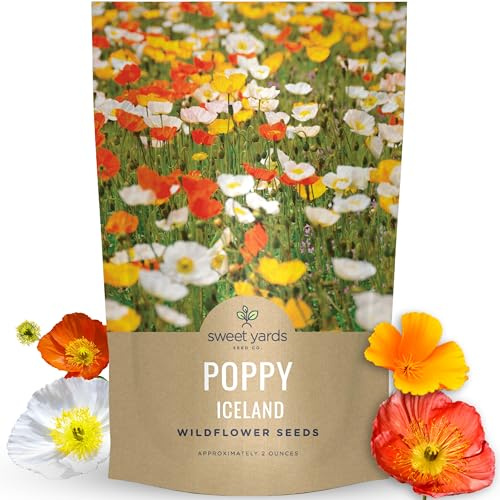 Poppy - Iceland - Bulk 2 Ounce Pouch - 300,000 Flower Seeds for Planting - Papaver nudicaule