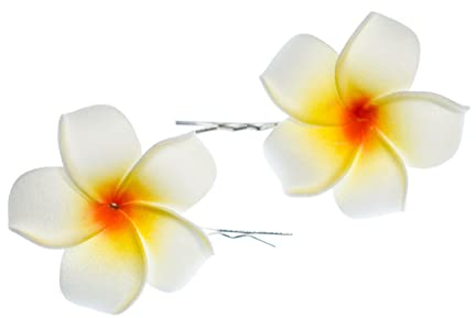 Miniblings Frangipani 2er Set Blumen Haarspangen Plumeria Lilie Surfer Hawaii - Handmade Modeschmuck I Haarschmuck Haarclips Haarklammern
