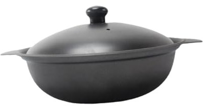 Amosfun Cast Iron Claypot Rice Pot 22cm Iron Lid Chicken Casserole Stew Pot for Home Cooking One-pot Dishes Braised Chicken Rice Cooker