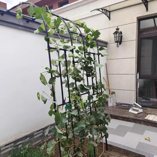 Pergola-Spalier aus Metall | Gartenbogen und Laube für den Außenbereich, robuster Torbogen zur Pflanzenunterstützung, verzinkte Stahlbeschläge wasserdicht gehärteter Bogen Spalier | Schwarze Halbseite