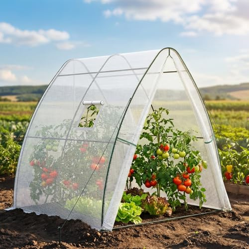 LARMNEE Serra a Tunnel ad Arco, Serra per Pomodori, Tunnel in Plastica con Telo in PE, 2 Porte con Cerniera e 2 Finestre Avvolgibili, 180 x 180 x 200 cm, Balcone, Giardino, Terrazza, Bianco EWT73GH02