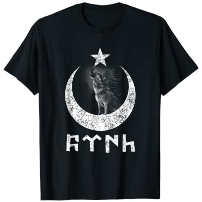 Göktürk Schrift, Hilal ve Yildiz & Bozkurt (türkisch) Design T-Shirt
