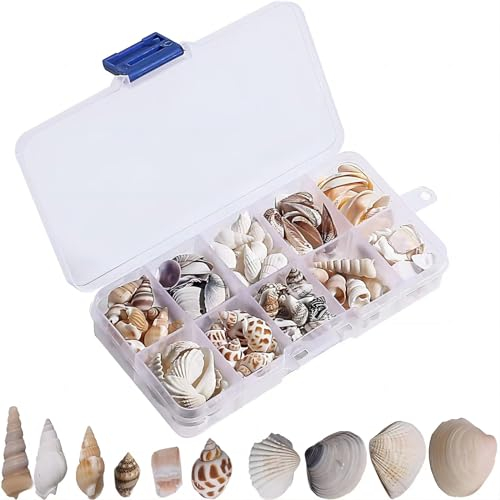 parallelower 170 Stück 10 Stile Gemischt Ozean Muscheln Conch Mini Natürliches Muscheln Deko mit Aufbewahrungsbox für VasenfüLlung Diy ArmbäNder Halskettenzubehör Aquarium Dekoration