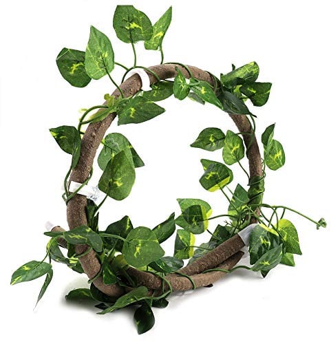 Vignes de Reptiles, Branche d'escalade de Reptiles, Vignes de Jungle Réalistes et Flexibles, Décoration D'habitat pour Animaux de Compagnie pour Lézards, Grenouilles, (Rotin +